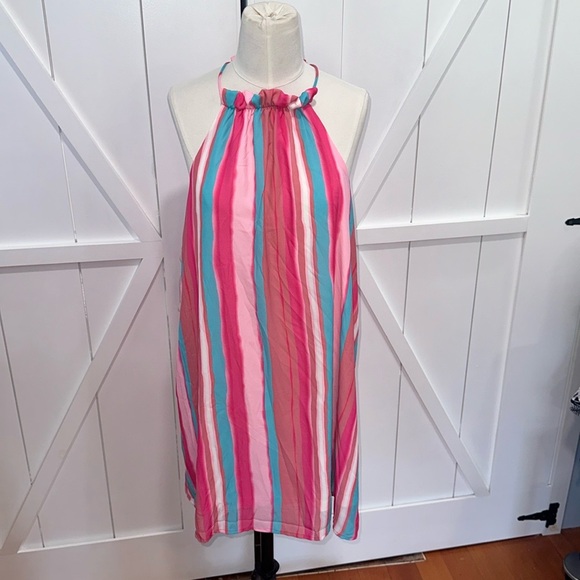 Pink Lily Stripe Dress - Picture 1 of 3